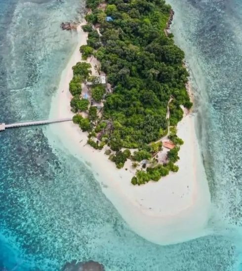 BALI TRAVEL FAIR AND BEYOND 2023