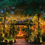 Take refuge in Pererenan at Hippest Place to Dine!