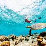 The best activities to do in Bali!