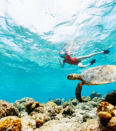 The best activities to do in Bali!