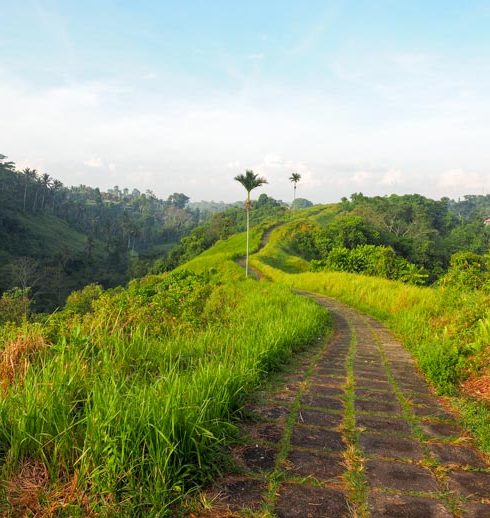 Almost Landing Bali Travel Blog and Bali Guide