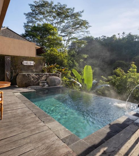 Bali Buddies