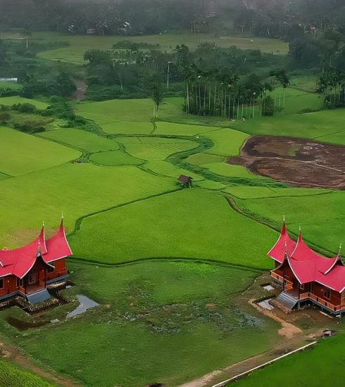 DEEPERING THE VIBRANT ANCIENT CULTURE