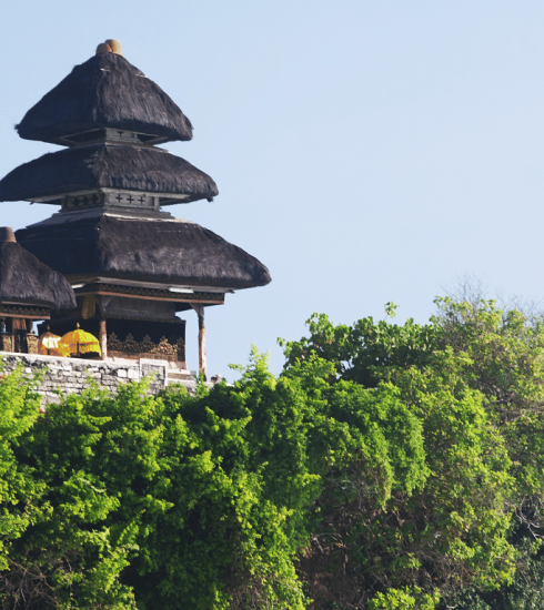 Bali Buddies