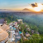 Bali Buddies