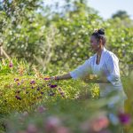 The Reimagined AYANA Farm is Now Welcoming Green Travel Enthusiasts!