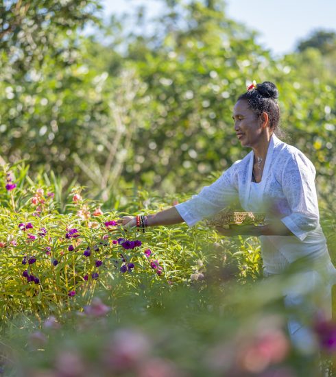 The Reimagined AYANA Farm is Now Welcoming Green Travel Enthusiasts!