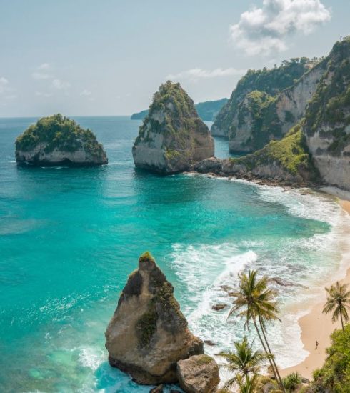 Health & Wellness Tourism Program in Bali
