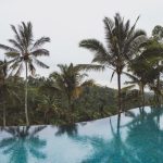 Almost Landing Bali Travel Blog and Bali Guide